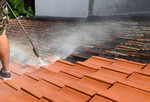 Best Local Pressure Washing Services  in Kalispell, MT