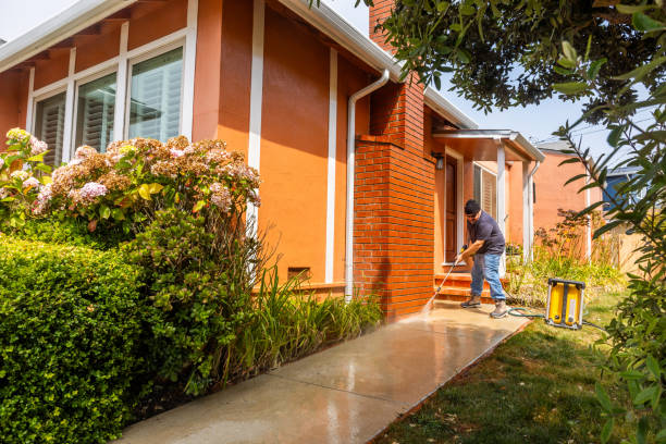 Best Roof Pressure Washing  in Kalispell, MT